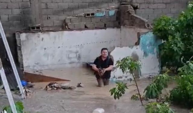 Sel sularına kapılan tavuklar boğuldu