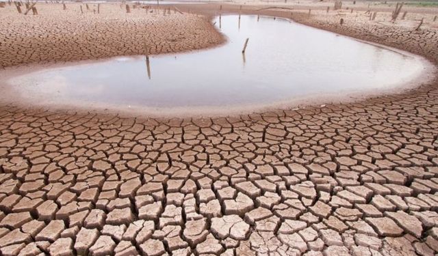 Kuraklık etkili oldu, göletlerde su seviyesi düştü