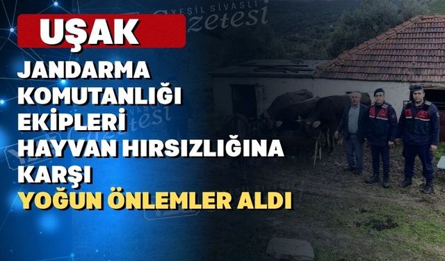 Uşaklı hayvan yetiştiricileri hırsızlara karşı dikkatli olun