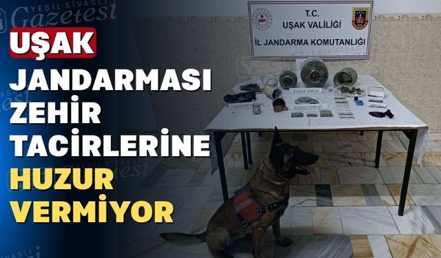 Uşak Jandarması 16 zehir tacirini suçüstü yakaladı