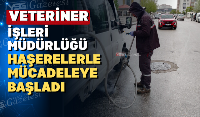 Uşak’ta Yaz Aylarına Hazırlık Başladı