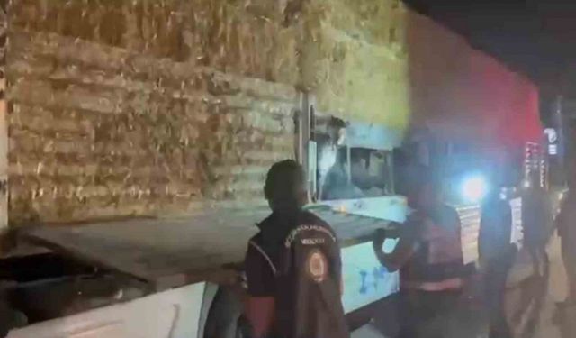 Balyaların altına saklanan 31 kaçak göçmen yakalandı