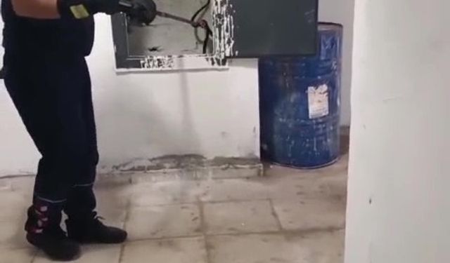 Kazan dairesine giren yılan panik yarattı