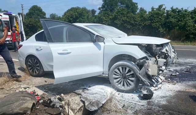 Otomobil refüje çarpınca alev aldı: 2 yaralı