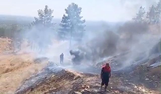 Sigara izmariti yangına neden oldu