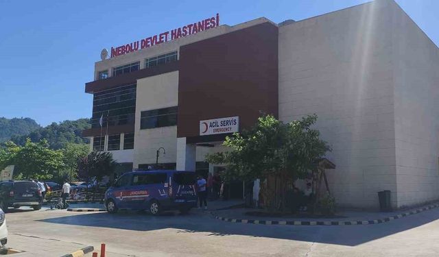 Yaprak toplarken düşen kadın hayatını kaybetti