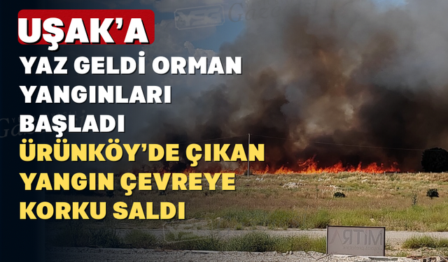 Uşak Tekstil OSB civarında yangın çıktı