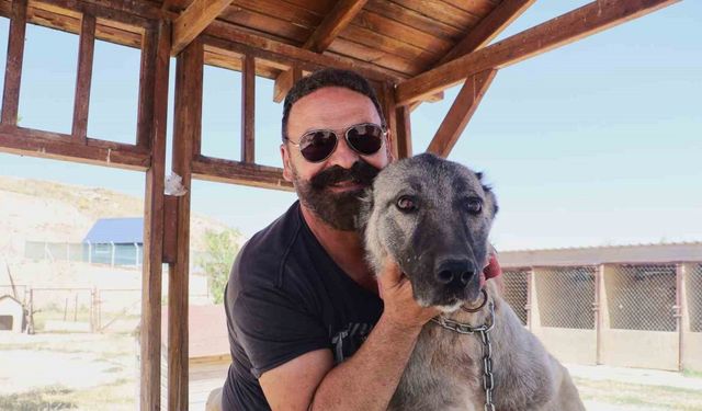 2 Metrelik Yılanı Etkisiz Hale Getirdi