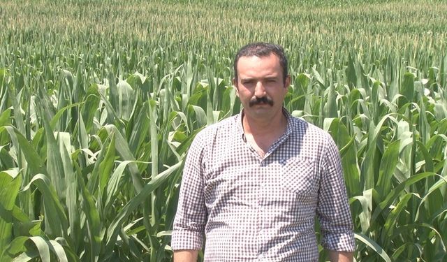Çiftçiye sıcak hava uyarısı