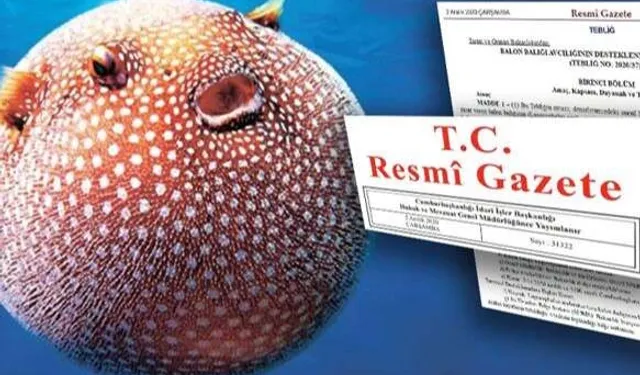 Balon balığı yakalayanlara  para  desteği sağlanacak