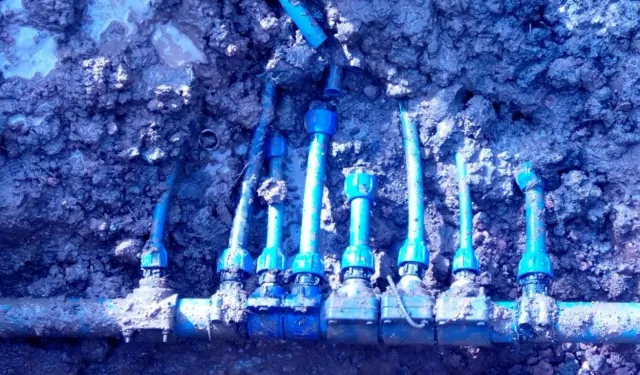 Görenler şok oldu: Şeytanın aklına gelmez