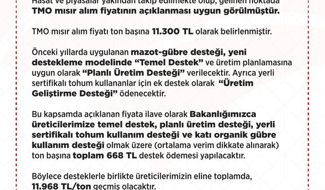 2025 yılı mısır alım fiyatları belirlendi