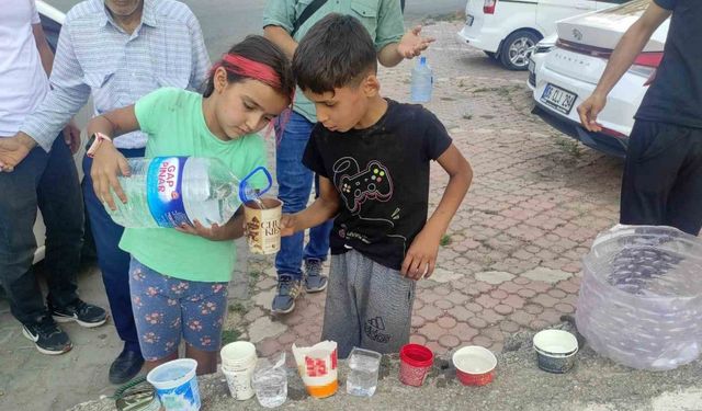 Çocuklar sıcaktan etkilenen sokak hayvanları için su bıraktı
