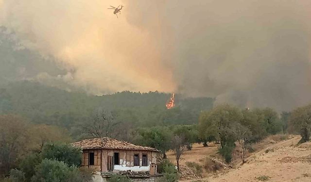 Denizli-Aydın'da 4 gündür devam eden yangında bir köy tahliye ediliyor