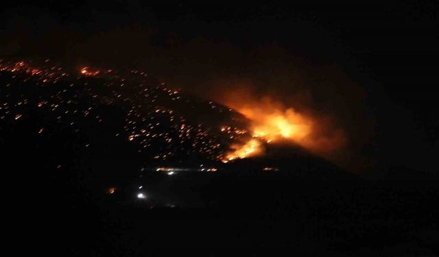 Denizli’de orman yangınına karadan müdahale sürüyor