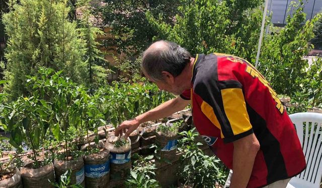 Esnaf iş yerinin balkonunu bahçeye çevirdi