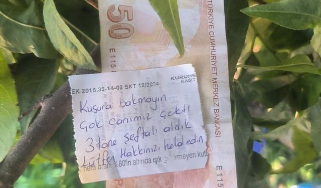 İnsanlık ölmemiş dedirten hareket