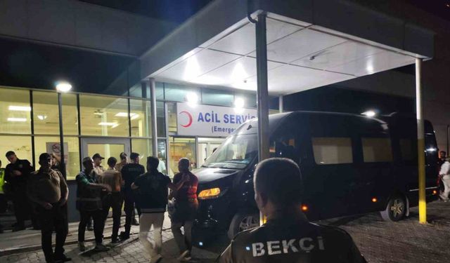 Rapçi Çakal rastgele ateşin hedefi oldu