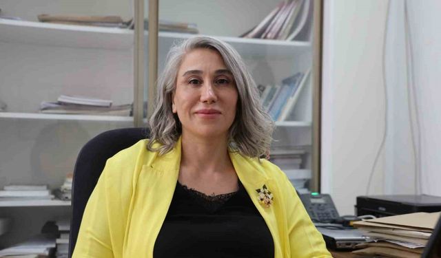 Türk bilim insanlarından dev çalışma, elektrikli araçlar daha güvenli olacak