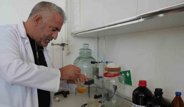 Üniversitede üretildi: Cilt kanserine neden olan lekelerde bile etkili