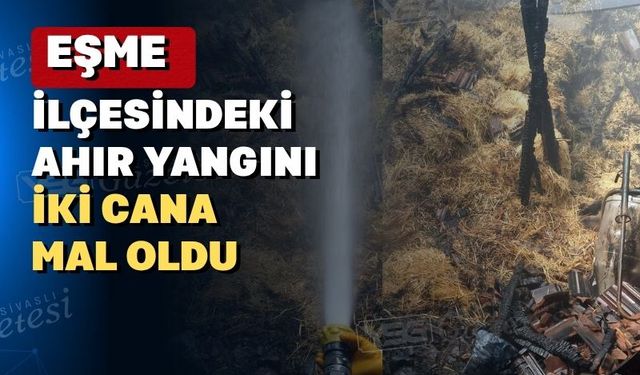Uşak’ın Eşme İlçesinde çıkan yangın korkuttu