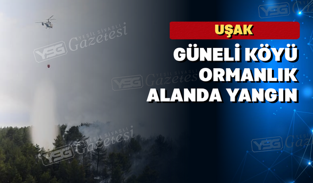 Uşak Güneli Köyü Ormanlık Alanda Yangın