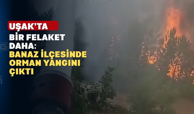 Uşak’ın ormanlarında yine alevler yükseldi