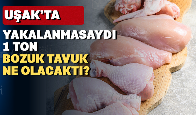 Uşak'ta 1 ton bozulmuş tavuk ele geçirildi