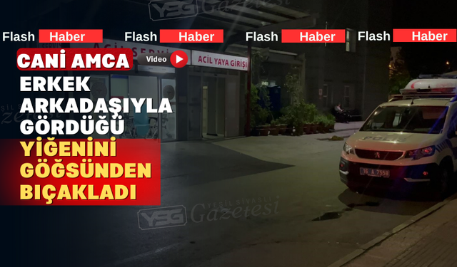 Yeğenini erkek arkadaşıyla yakalayan amca cinnet geçirdi