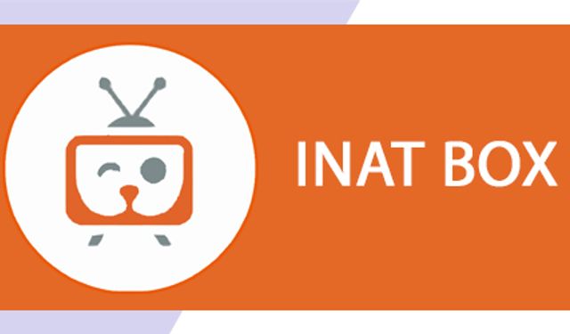 İnat Box uygulamasında 14 milyonluk vurgun