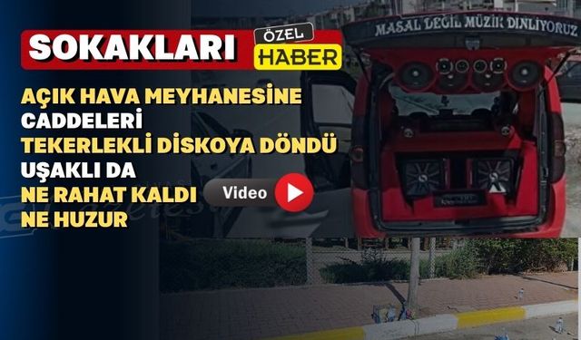 Uşaklı bu hanzolardan bıktı ama ilgilenen yok