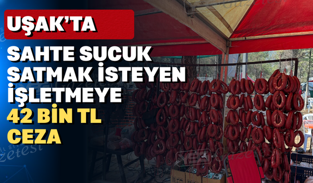 Uşak'ta 300 kilogram sahte sucuk yakalandı
