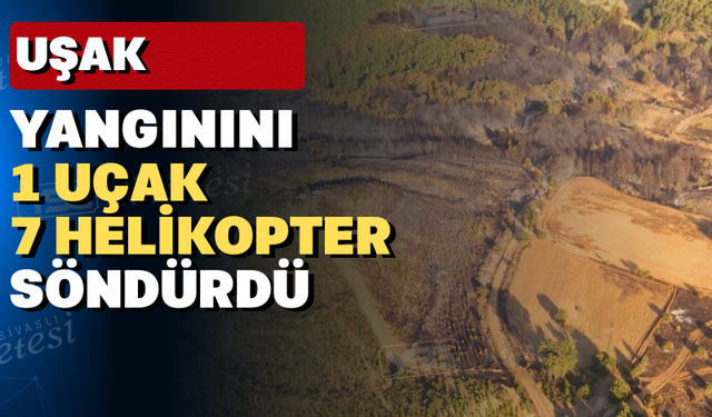 Uşak'ta yaklaşık 20 saat süren orman yangını kontrol altında