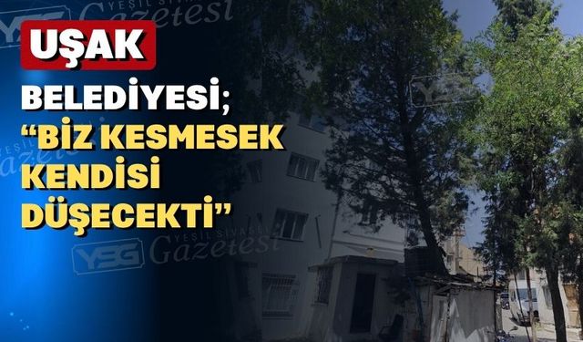 Uşak Belediyesi: “Kesmesek can kaybına yol açabilirdi”