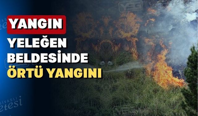 Uşak’ın Eşme ilçesinde 4 hektar alan yandı