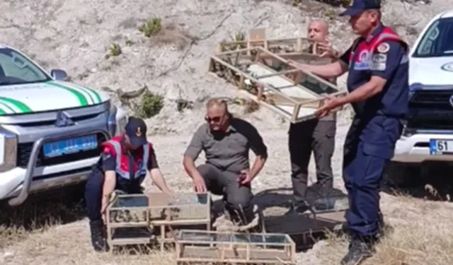 Gediz'de yasak avlanmaya  1 milyon ceza kesildi.