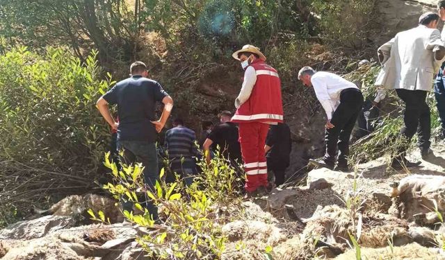 334 tane koyun uçurumdan düşerek telef oldu