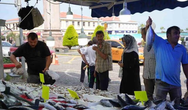 Hamsi için geri sayım başladı: Balıkçılar yolunu gözlüyor