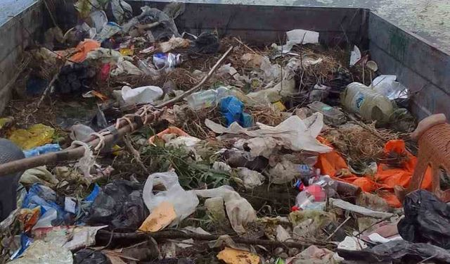 Muhtardan örnek davranış: Çubuk Gölü’nü kendi traktörüyle temizledi
