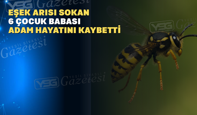 Eşek arısının soktuğu 6 çocuk babası adam hayatını kaybetti