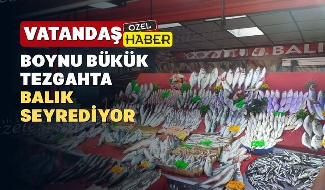 Yasak bitti balık fiyatları Uşak’ta ateş pahası