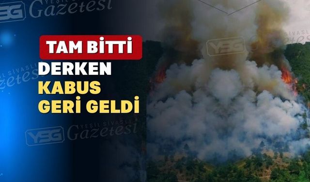 Uşak’ın Banaz İlçesinde ormanlık alanda yangın çıktı