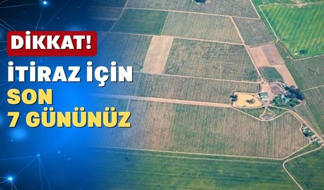 Uşak’ta ekilmeyen 256 tarım arazisi kiraya veriliyor