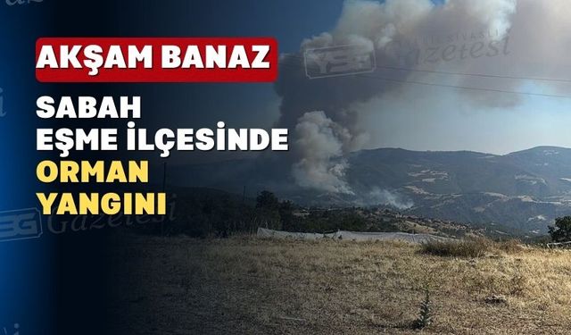 Bu kez Eşme ilçesinde yangın çıktı