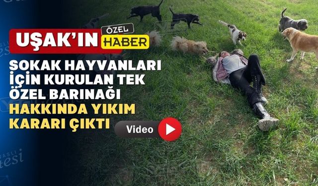 Uşak’ta özel hayvan barınağı için yıkım kararı çıktı