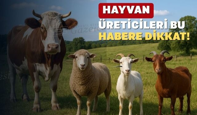 Uşaklı hayvan üreticileri için desteklere başvuru süresi başladı
