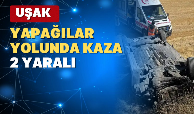 Uşak’ta otomobil tarlaya devrildi: 2 yaralı