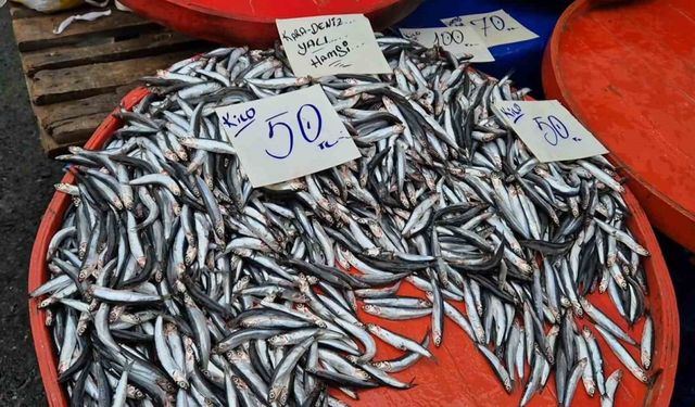 Hamsinin kilosu düştükçe düşüyor