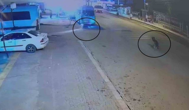 Sürüklenen motosiklet park halindeki minibüsün altına girdi