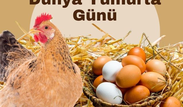 "Yumurta doğanın en eşsiz gıda kaynaklarından biridir"